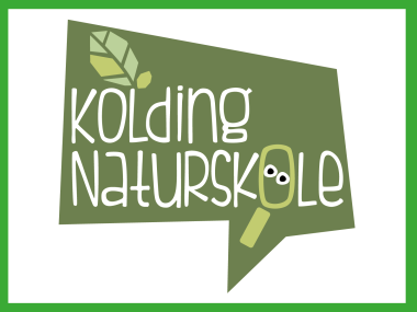 Naturskolen